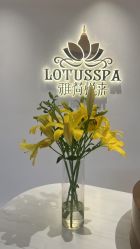 -雅荷悦来双美