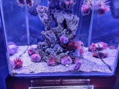 -太平洋海底世界