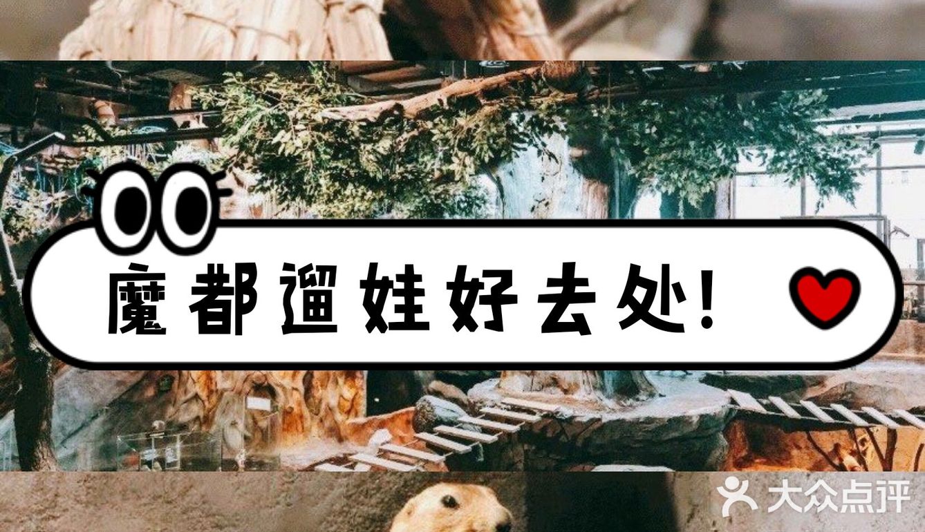 [加油]超可爱的室内动物园！