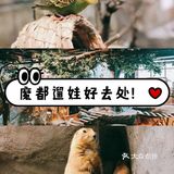 [加油]超可爱的室内动物园！