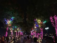 -大塘金香草谷
