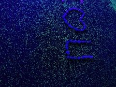 -北京东直门智选假日酒店