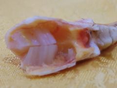 黄油-宏佳丰味蟹馆(洛溪店)