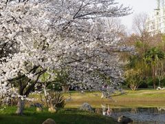 -堤角公园