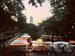-晓港公园