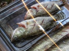 -老味道1992(武当山店)