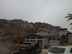 -闻道食府烙饼卷带鱼(原车耳营店原大觉寺店)