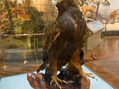 -陕西自然博物馆