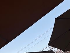 -都江堰石锅鱼