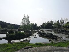 -铁山坪森林公园