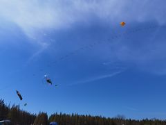 -黄海国家森林公园