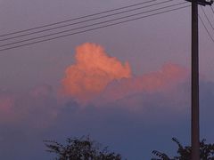 -南江大塘鱼庄
