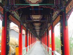 -兰山公园