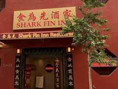 -食为先(Shark Fin)