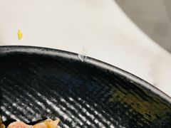 -MR鹅外
