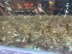 -传统菜农庄(皇姑路店)