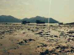 -北岐滩涂