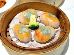 黄椒酱鲜虾钓鱿水晶饺-银灯食府(丽丰国际中心店)
