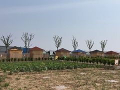 -上海崇明金茂凯悦酒店