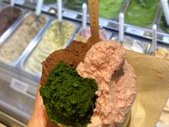 -鹤茶野所(上海首店)