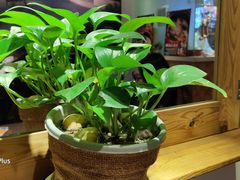 -大洋家·精品潮汕菜·生腌砂锅粥(天河东路店)