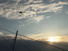 -翠山·映月湖景餐厅(映月湖公园店)
