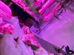 -西郊国际农产品交易中心