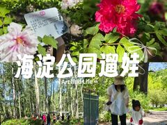 -仁和公园(顺义区)