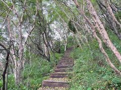 -白草畔自然风景区