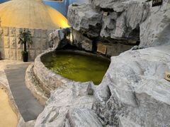 -爱江山温泉(凌奥店)