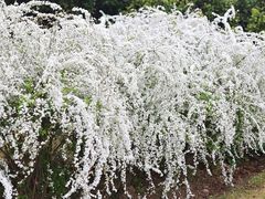 -共青国家森林公园-售票处