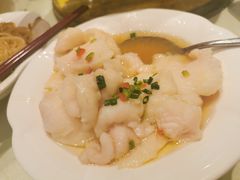 -凯鸽酒楼(大同振兴街店)