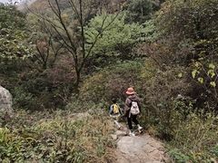 -抱龙峪