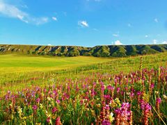 -青海湖国家重点风景名胜区