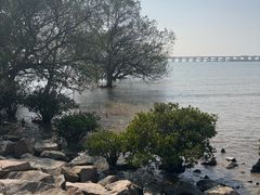 -宝安西湾红树林湿地公园