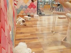 -袖虎·猫馆(体育西路店)