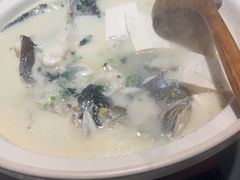 -老傅家湘潭水煮活鱼店(众一国际店)