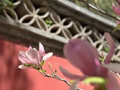 -潭柘寺景区