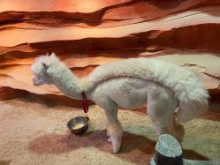 -酷嗒动物文化乐园(cutezoo西溪乐天城店)