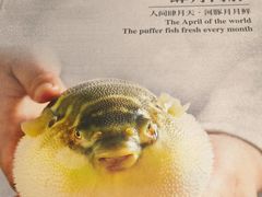 -肆月河豚·新淮扬(金融街店)