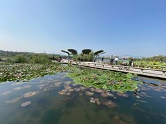 -永定河休闲森林公园