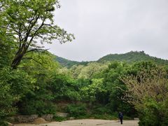 -阳台山自然风景区