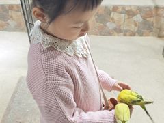 -嘉兴海底世界