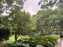 -上海市保健医疗中心