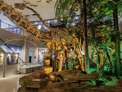 -甘肃地质博物馆