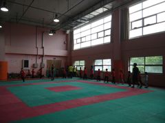 -武术世家少儿培训中心(首都体育学院店)