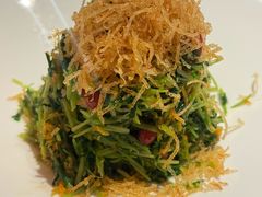 巧拌豆苗-四季民福烤鸭店(王府井东安门店)