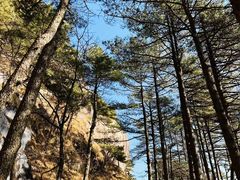 -黄山风景区