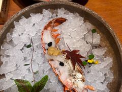-月龍吟(朝龙汇店)