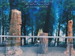 -延庆地质公园博物馆